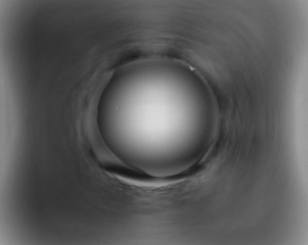 X0000092311153200709211244