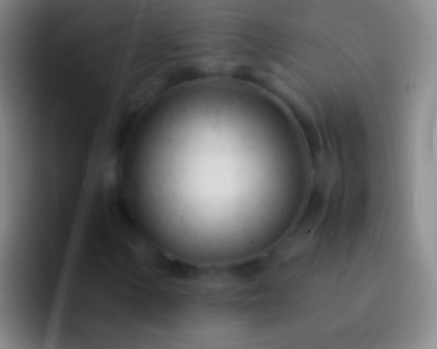 X0000092311154200709211244