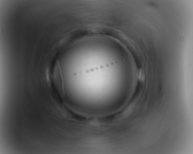 X0000092311155200709211244