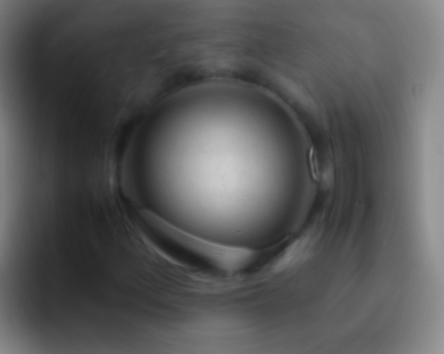 X0000092311156200709211244