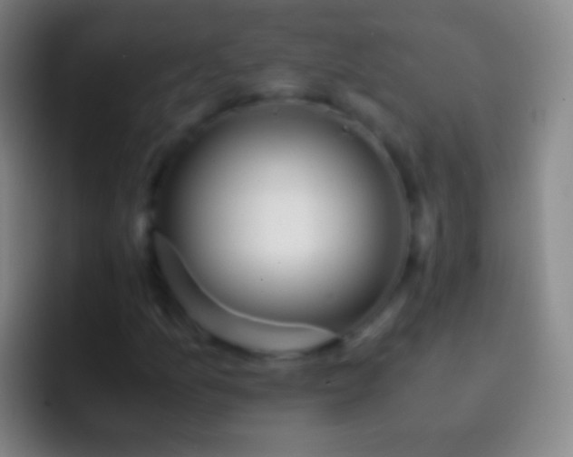X0000092311157200709211244
