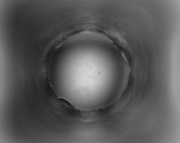 X0000092311159200709211244