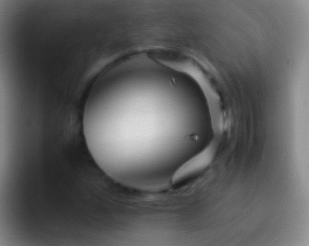 X0000092311160200709211244