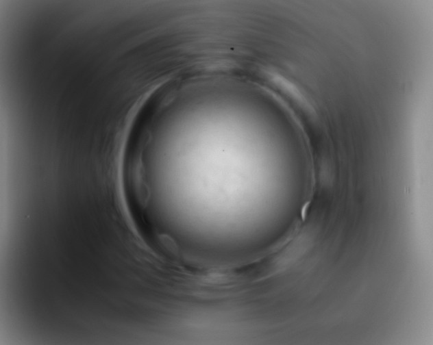 X0000092311161200709211244