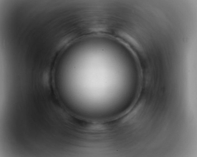 X0000092311162200709211244
