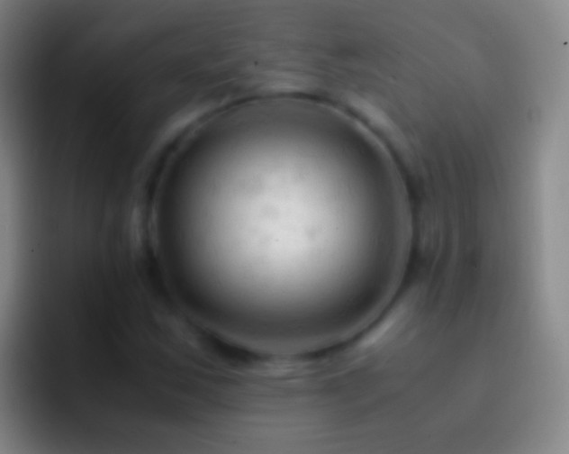 X0000092311163200709211244