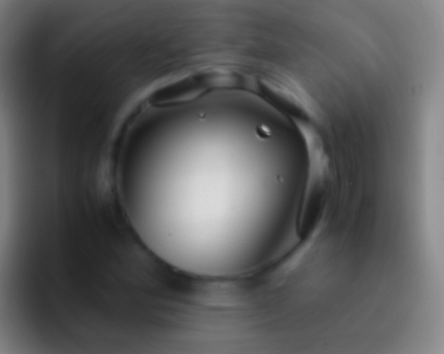 X0000092311164200709211244