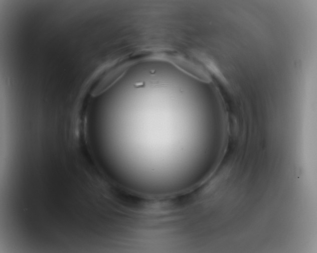 X0000092311165200709211244
