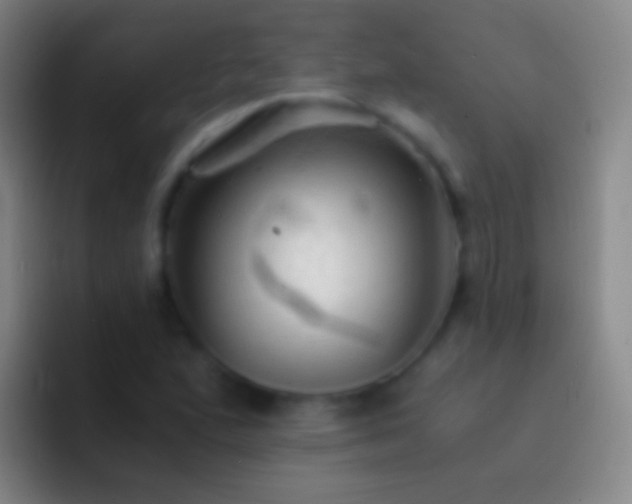 X0000092311167200709211244
