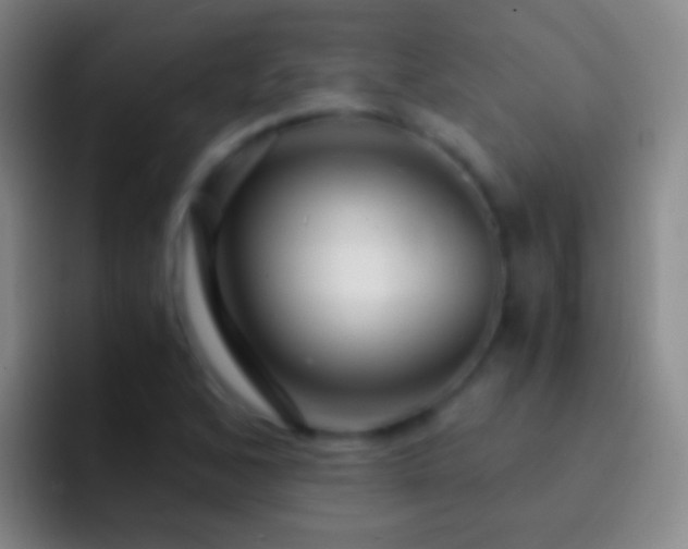 X0000092311168200709211244