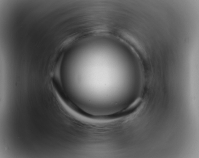 X0000092311169200709211244