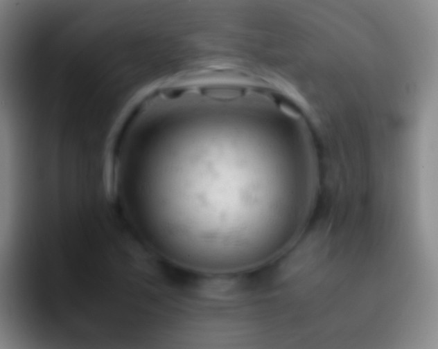 X0000092311171200709211244