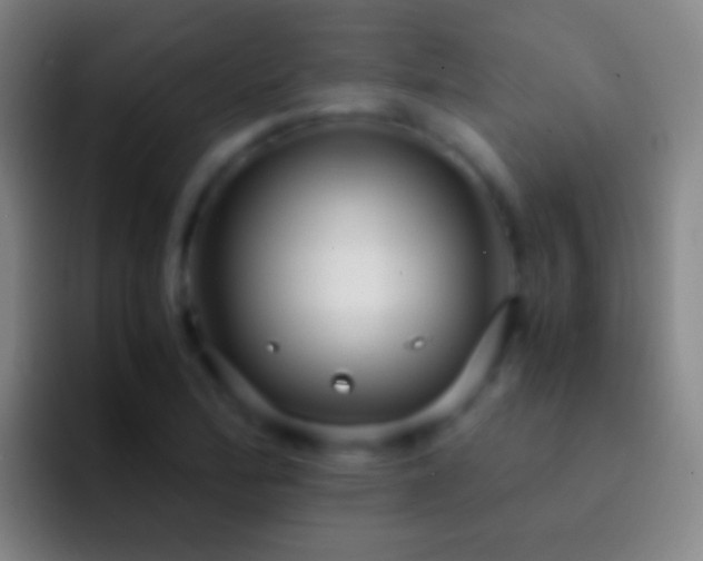 X0000092311172200709211244