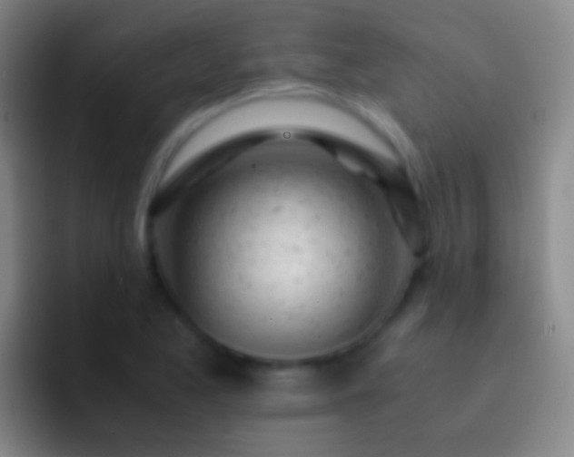 X0000092311173200709211244