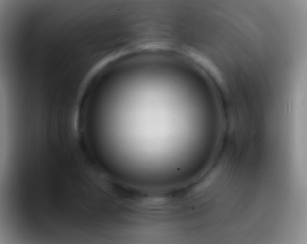 X0000092311174200709211244