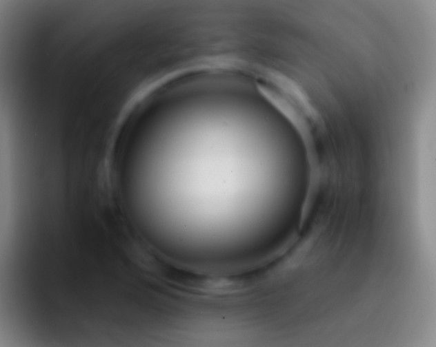 X0000092311176200709211244