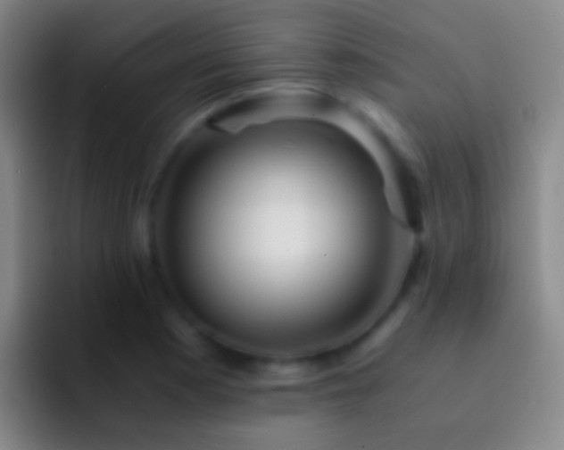 X0000092311177200709211244