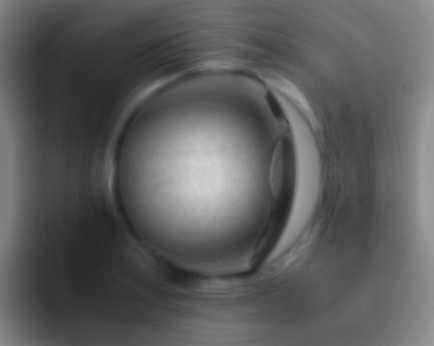 X0000092311179200709211244