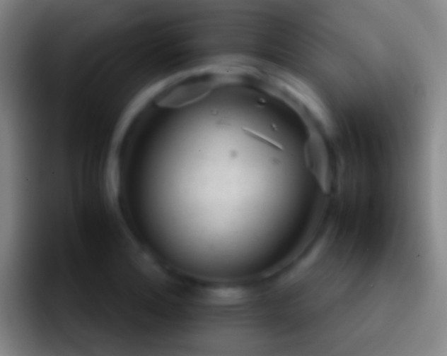 X0000092311180200709211244