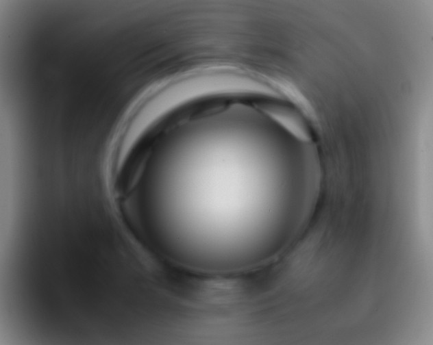 X0000092311181200709211244
