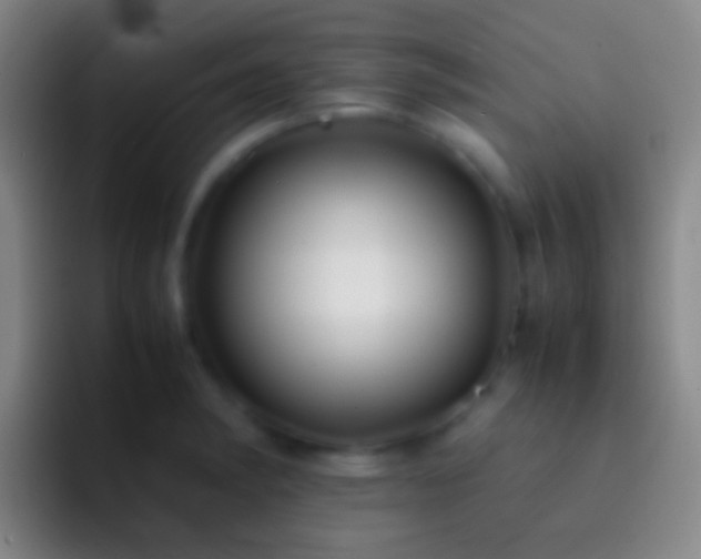 X0000092311182200709211244