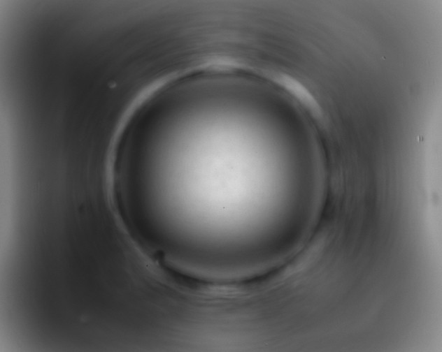 X0000092311183200709211244