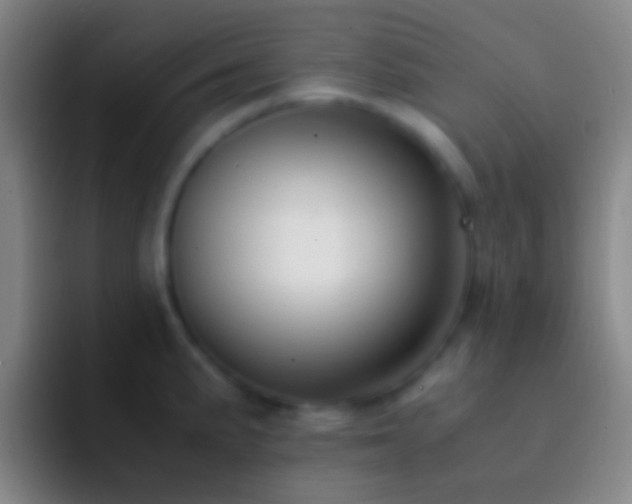 X0000092311191200709211244
