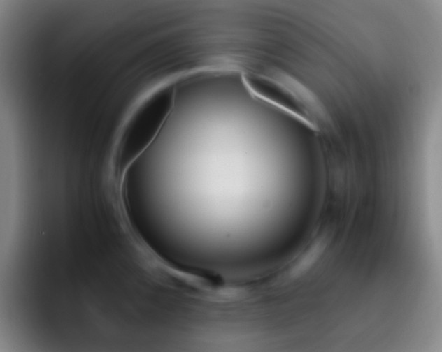 X0000092311192200709211244