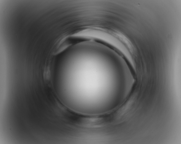 X0000092311193200709211244