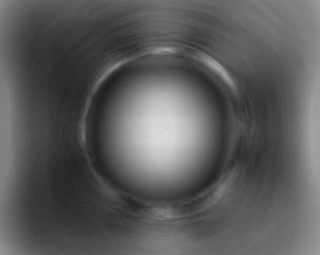 X0000092311194200709211244
