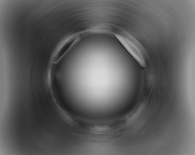 X0000092311196200709211243