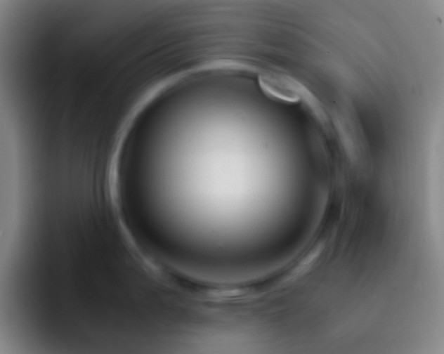 X0000092311199200709211243