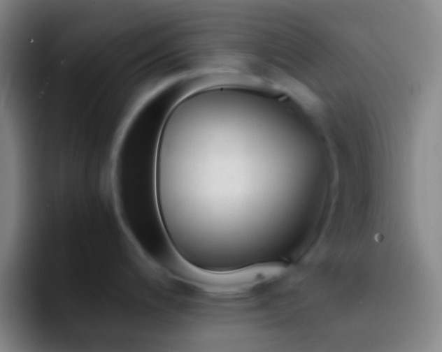 X0000092311200200709211243