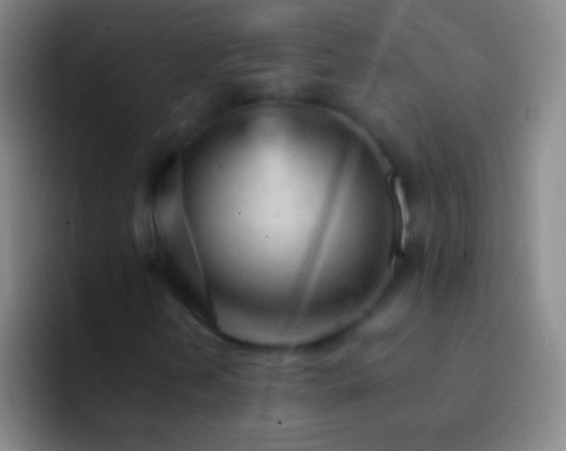 X0000092311202200709211243