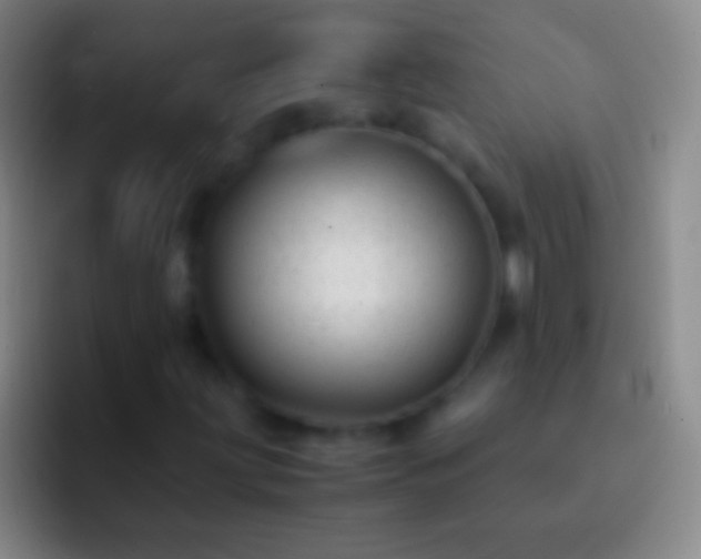 X0000092311203200709211243