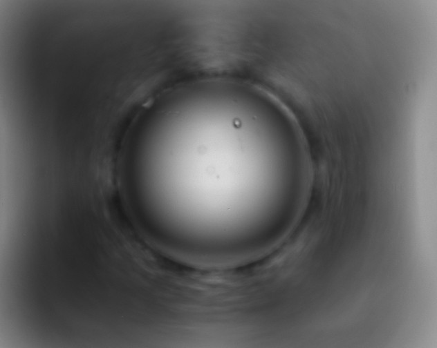 X0000092311205200709211243