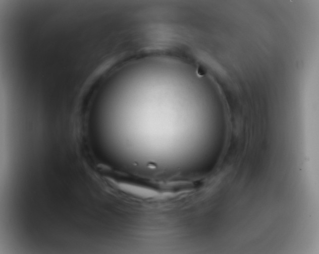 X0000092311208200709211243