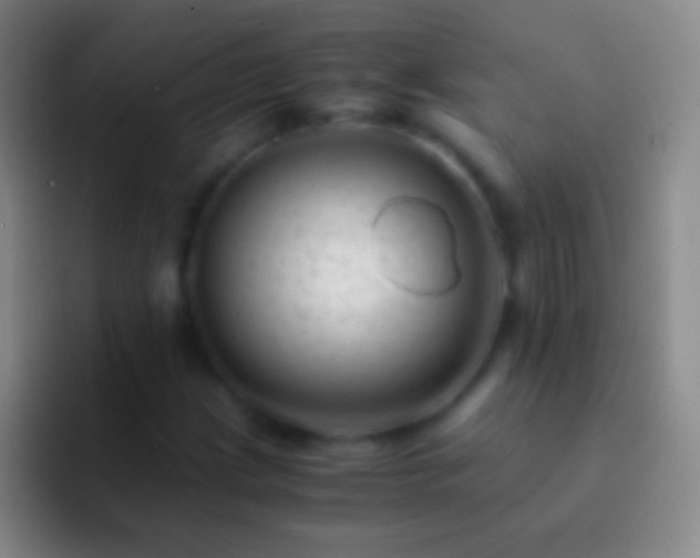 X0000092311209200709211243