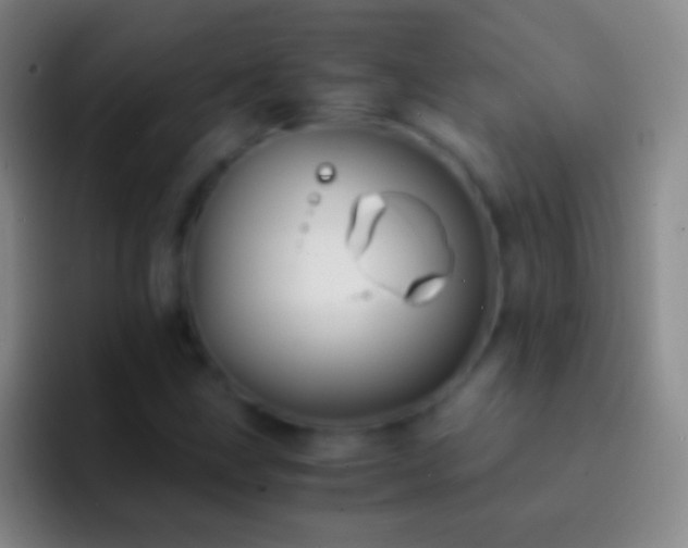X0000092311211200709211243