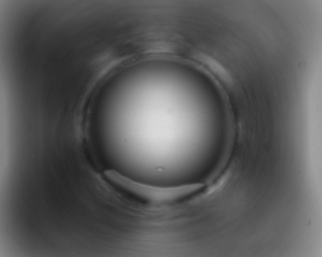 X0000092311212200709211243