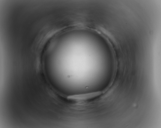 X0000092311215200709211243