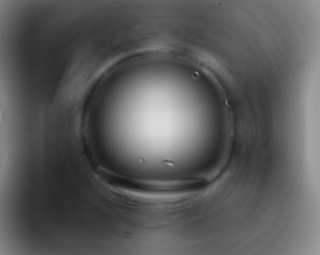 X0000092311216200709211243