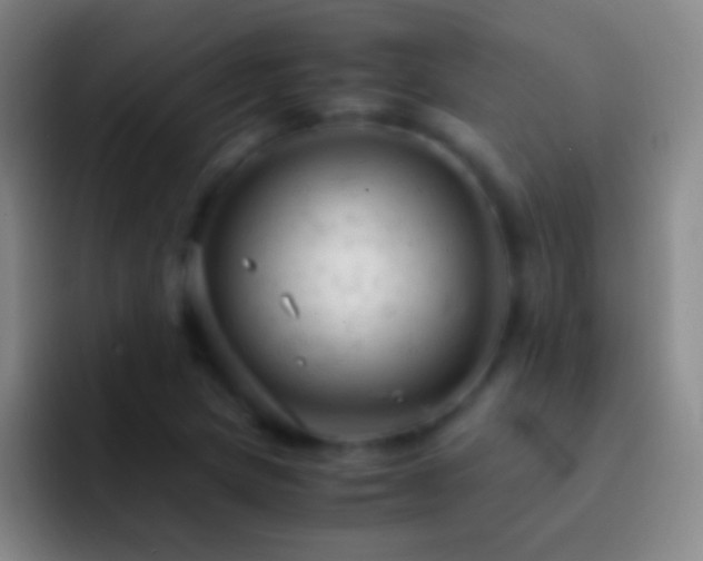 X0000092311217200709211243