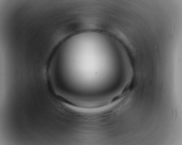 X0000092311218200709211243