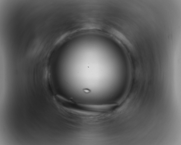 X0000092311220200709211243