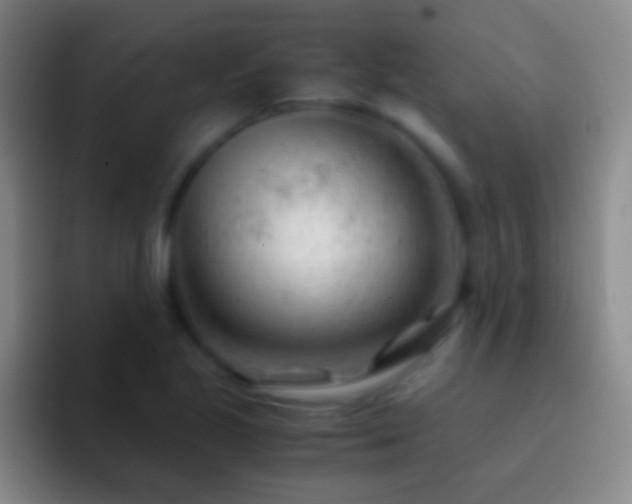 X0000092311221200709211243
