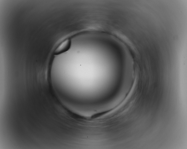 X0000092311222200709211243
