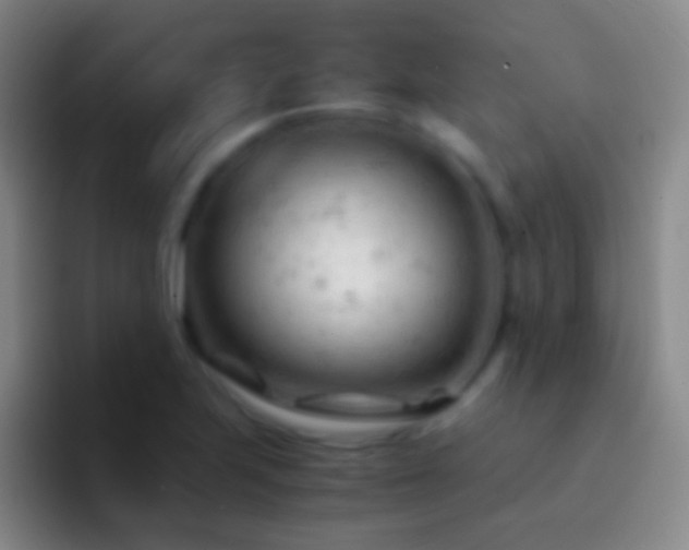 X0000092311223200709211243