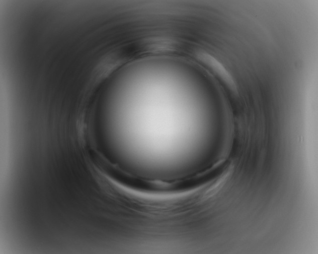 X0000092311225200709211243