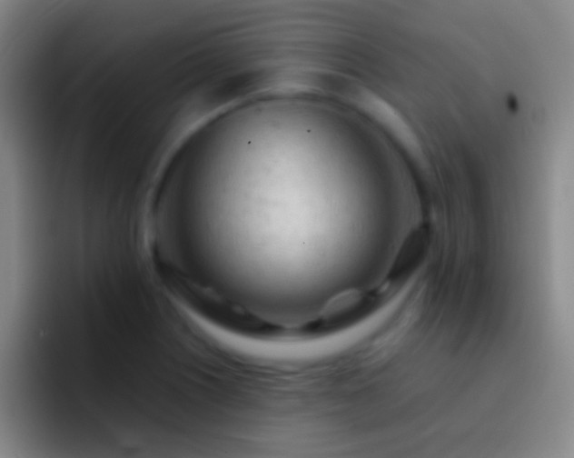 X0000092311226200709211243